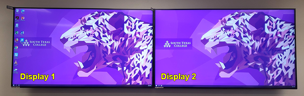 Image of Dual Wall Displays